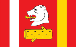 POL gmina Radzyń Podlaski flag